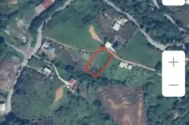 იყიდება მიწის ნაკვეთი, სასოფლო - სამეურნეო, ჩაქვი