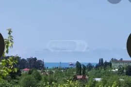 იყიდება მიწის ნაკვეთი, სასოფლო - სამეურნეო, ჩაქვი