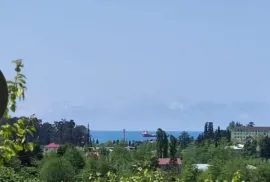 Продается Земля, Сельскохозяйственные, Чакви