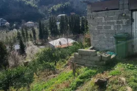 იყიდება მიწის ნაკვეთი, სასოფლო - სამეურნეო