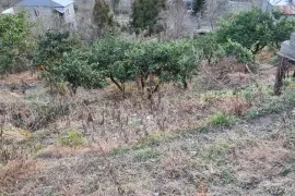 იყიდება მიწის ნაკვეთი, სასოფლო - სამეურნეო