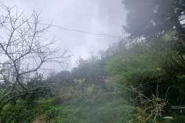 იყიდება მიწის ნაკვეთი, სასოფლო - სამეურნეო