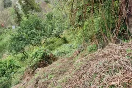 Продается Земля, Сельскохозяйственные