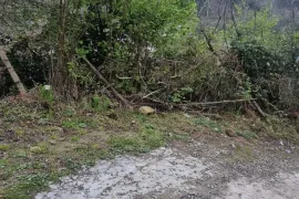 Продается Земля, Сельскохозяйственные