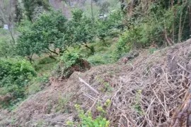 იყიდება მიწის ნაკვეთი, სასოფლო - სამეურნეო