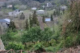 იყიდება მიწის ნაკვეთი, სასოფლო - სამეურნეო