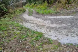 იყიდება მიწის ნაკვეთი, სასოფლო - სამეურნეო