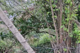 Продается Земля, Сельскохозяйственные