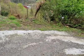 Land For Sale, Agricultural