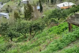 იყიდება მიწის ნაკვეთი, სასოფლო - სამეურნეო