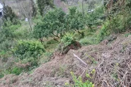 იყიდება მიწის ნაკვეთი, სასოფლო - სამეურნეო