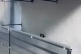 იყიდება, ნახევარსარდაფი, საბურთალო