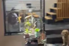 იყიდება, ნახევარსარდაფი, საბურთალო