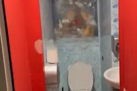 Аренда, Специальный, vake