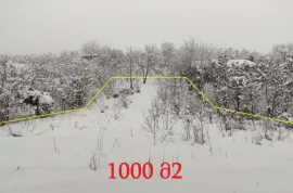 იყიდება მიწის ნაკვეთი, სასოფლო - სამეურნეო, სოფ. გლდანი