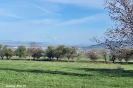 Land For Sale, For Investment, Zemo Teleti