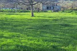 Land For Sale, For Investment, Zemo Teleti