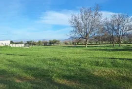 Land For Sale, For Investment, Zemo Teleti