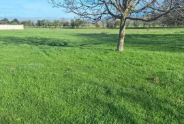 Land For Sale, For Investment, Zemo Teleti