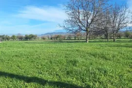 Land For Sale, For Investment, Zemo Teleti