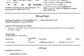 For Rent, Shopping Property, Sapichkhia