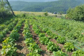 იყიდება მიწის ნაკვეთი, მანგლისი