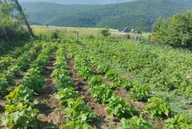 იყიდება მიწის ნაკვეთი, მანგლისი