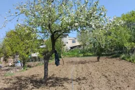 იყიდება მიწის ნაკვეთი, მანგლისი