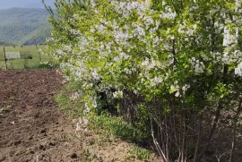 იყიდება მიწის ნაკვეთი, მანგლისი