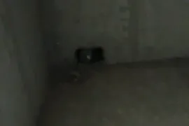 იყიდება ბინა, 1 ოთახიანი, ახალი აშენებული, ბათუმი