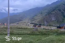 იყიდება მიწის ნაკვეთი, სასოფლო - სამეურნეო, სტეფანწმინდა