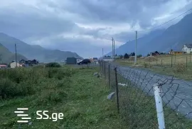 იყიდება მიწის ნაკვეთი, სასოფლო - სამეურნეო, სტეფანწმინდა