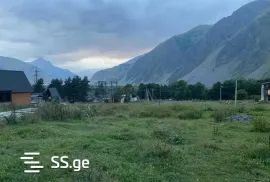 იყიდება მიწის ნაკვეთი, სასოფლო - სამეურნეო, სტეფანწმინდა