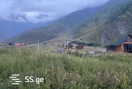 იყიდება მიწის ნაკვეთი, სასოფლო - სამეურნეო, სტეფანწმინდა