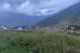 იყიდება მიწის ნაკვეთი, სასოფლო - სამეურნეო, სტეფანწმინდა