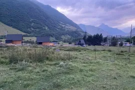 იყიდება მიწის ნაკვეთი, სასოფლო - სამეურნეო, სტეფანწმინდა