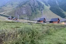 იყიდება მიწის ნაკვეთი, სასოფლო - სამეურნეო, სტეფანწმინდა