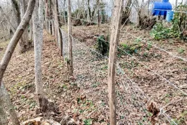 Land For Sale, Agricultural, Kortskheli