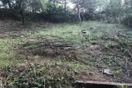 Land For Sale, Agricultural, Tskneti