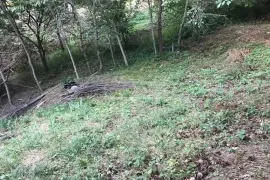 Land For Sale, Agricultural, Tskneti