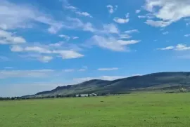 Land For Sale, Agricultural, Gardabani