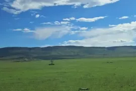 Land For Sale, Agricultural, Gardabani