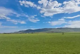 Land For Sale, Agricultural, Gardabani