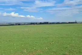 Land For Sale, Agricultural, Gardabani