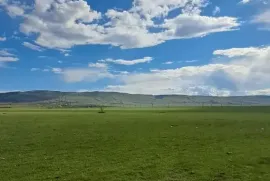 Land For Sale, Agricultural, Gardabani