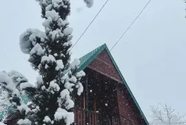 Аренда Посуточно, 2 Kомнатная, Хашури, Surami