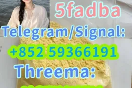 იყიდება ბინა, 100 ოთახიანი, ახალი აშენებული, თბილისის შემოგარენი