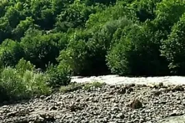 იყიდება მიწის ნაკვეთი, ონი