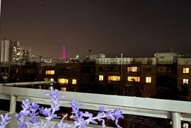 ქირავდება ბინა, 2 ოთახიანი, ძველი აშენებული, თბილისი, საბურთალო