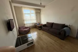 Аренда, 2 Kомнатная, Новостройка, Тбилиси, Диди Дигоми